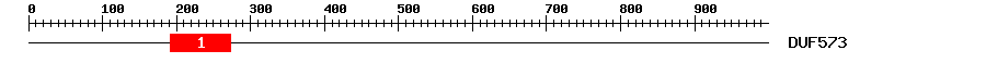 Signature Domain