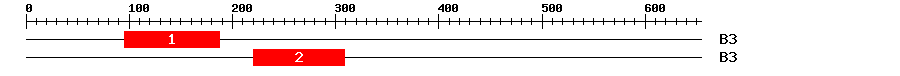 Signature Domain