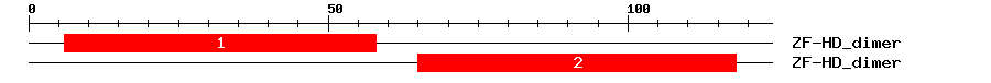 Signature Domain