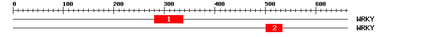 Signature Domain