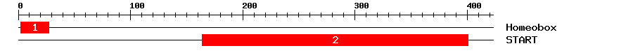 Signature Domain