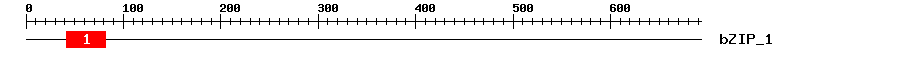 Signature Domain