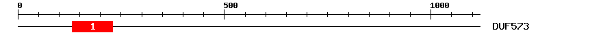 Signature Domain