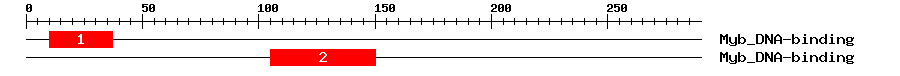 Signature Domain