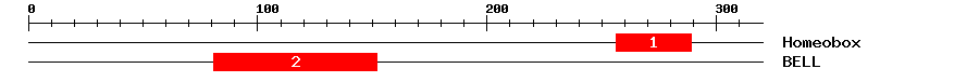 Signature Domain