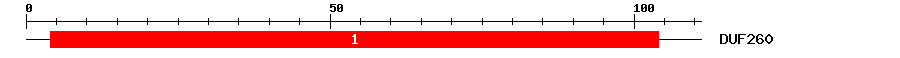 Signature Domain