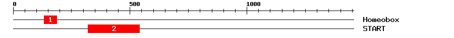 Signature Domain