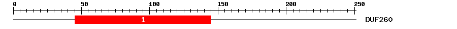Signature Domain