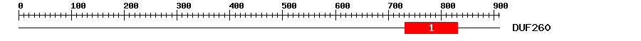 Signature Domain
