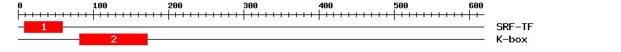 Signature Domain