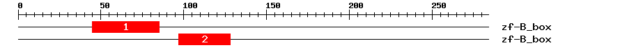 Signature Domain