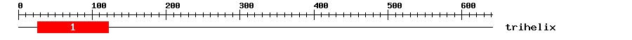 Signature Domain