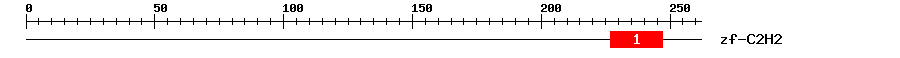 Signature Domain