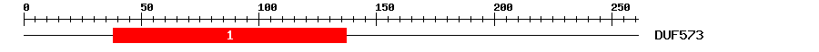 Signature Domain