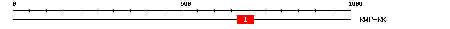 Signature Domain