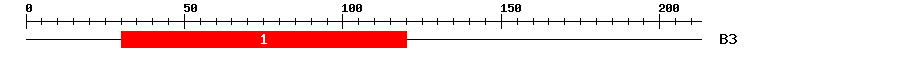 Signature Domain