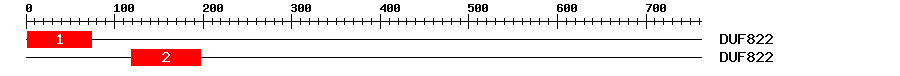 Signature Domain