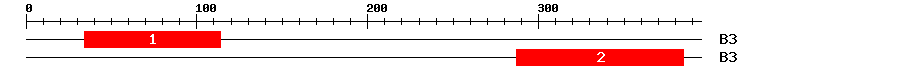 Signature Domain