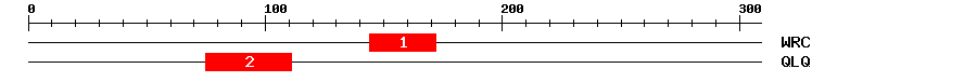 Signature Domain