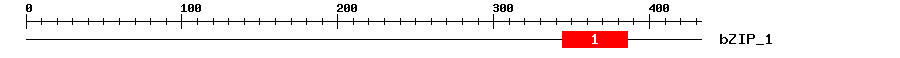 Signature Domain