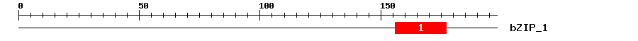 Signature Domain