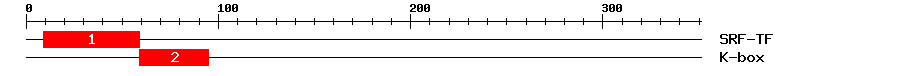 Signature Domain
