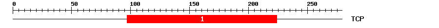 Signature Domain