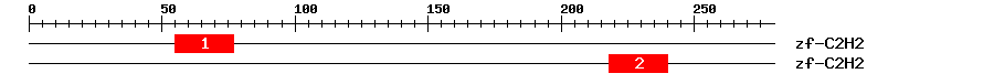 Signature Domain