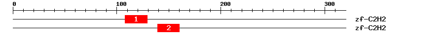 Signature Domain