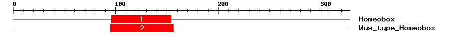 Signature Domain