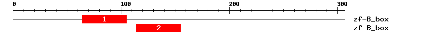 Signature Domain