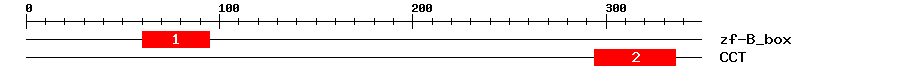 Signature Domain