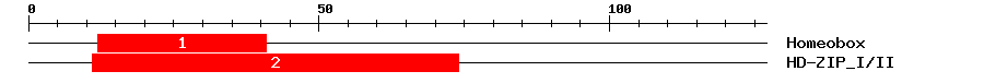 Signature Domain