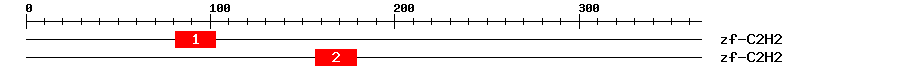 Signature Domain