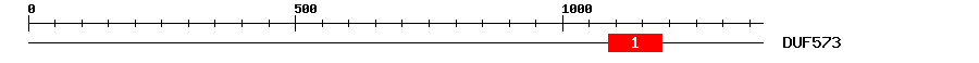 Signature Domain
