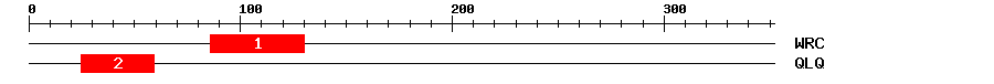 Signature Domain