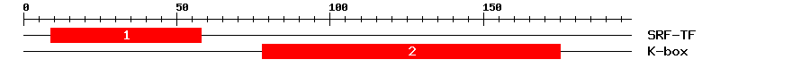 Signature Domain