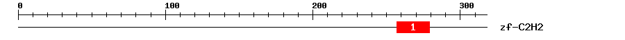 Signature Domain