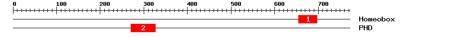 Signature Domain