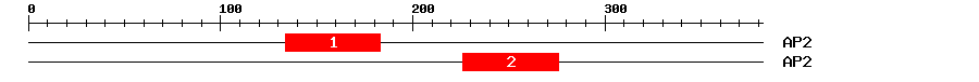 Signature Domain