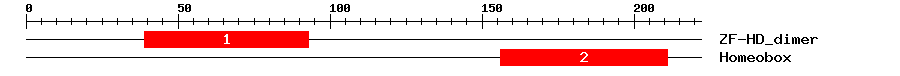 Signature Domain