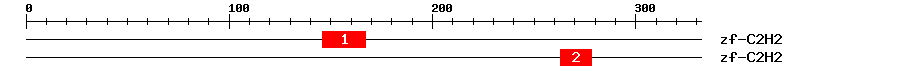 Signature Domain
