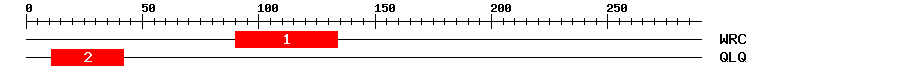 Signature Domain