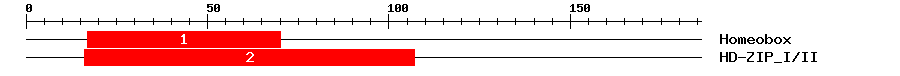 Signature Domain