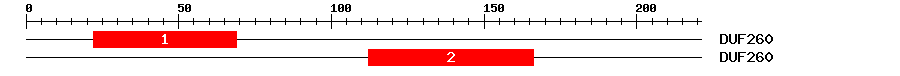 Signature Domain