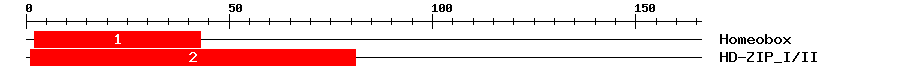 Signature Domain