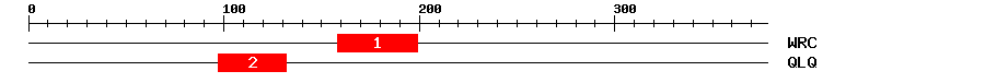Signature Domain