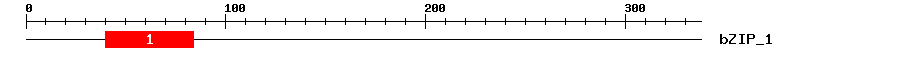 Signature Domain