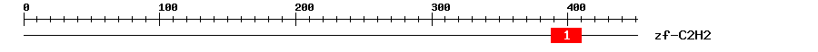 Signature Domain