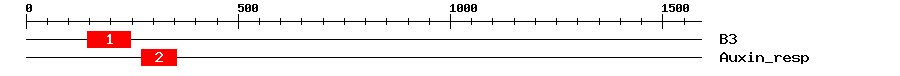 Signature Domain